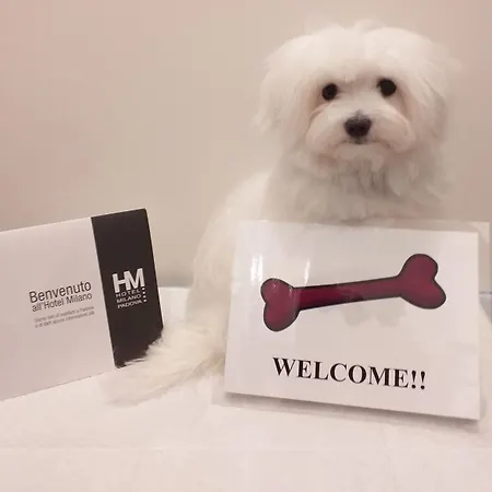 Sure By Western Milano מלון פאדובה